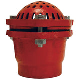 1-1/2" NH Foot Valve With Strainer With Clapper